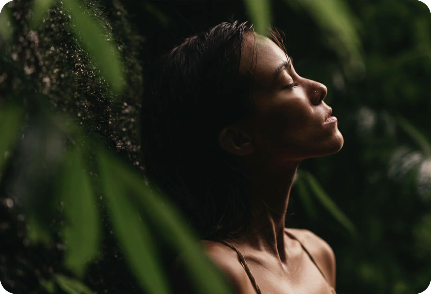 Elevate Your Natural Vitality